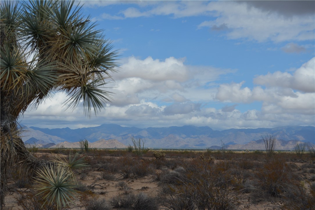 207-35-005 South Arlington Road Yucca, AZ 86438 - Photo 42 of 92