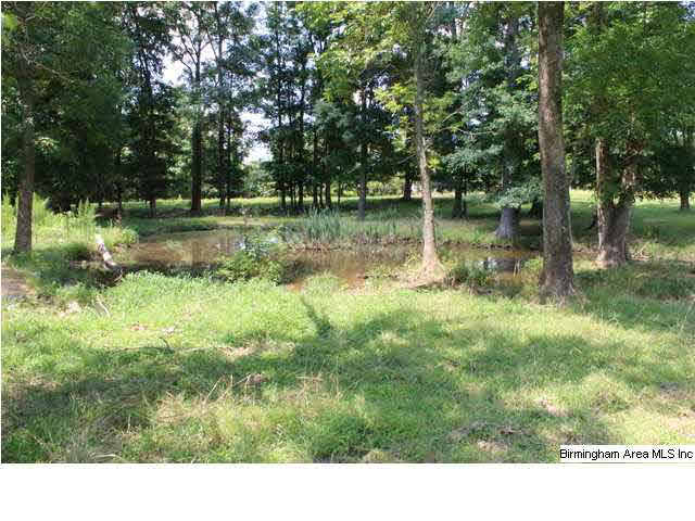 Mudd Street Lincoln, AL 35096 - Photo 13 of 32