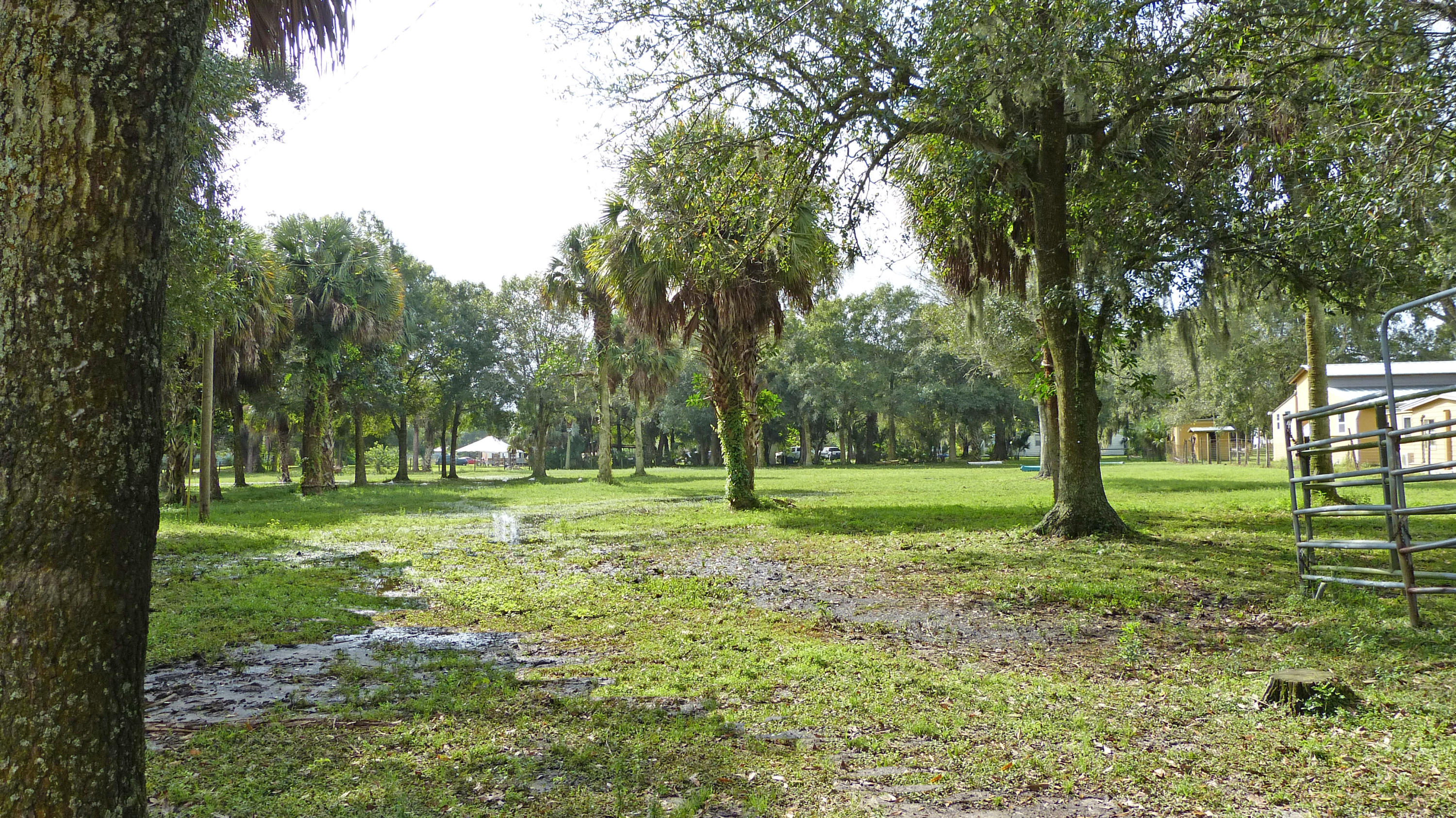 500 Coker Road Fort Pierce, FL 34945 - Photo 29 of 35 P1020351