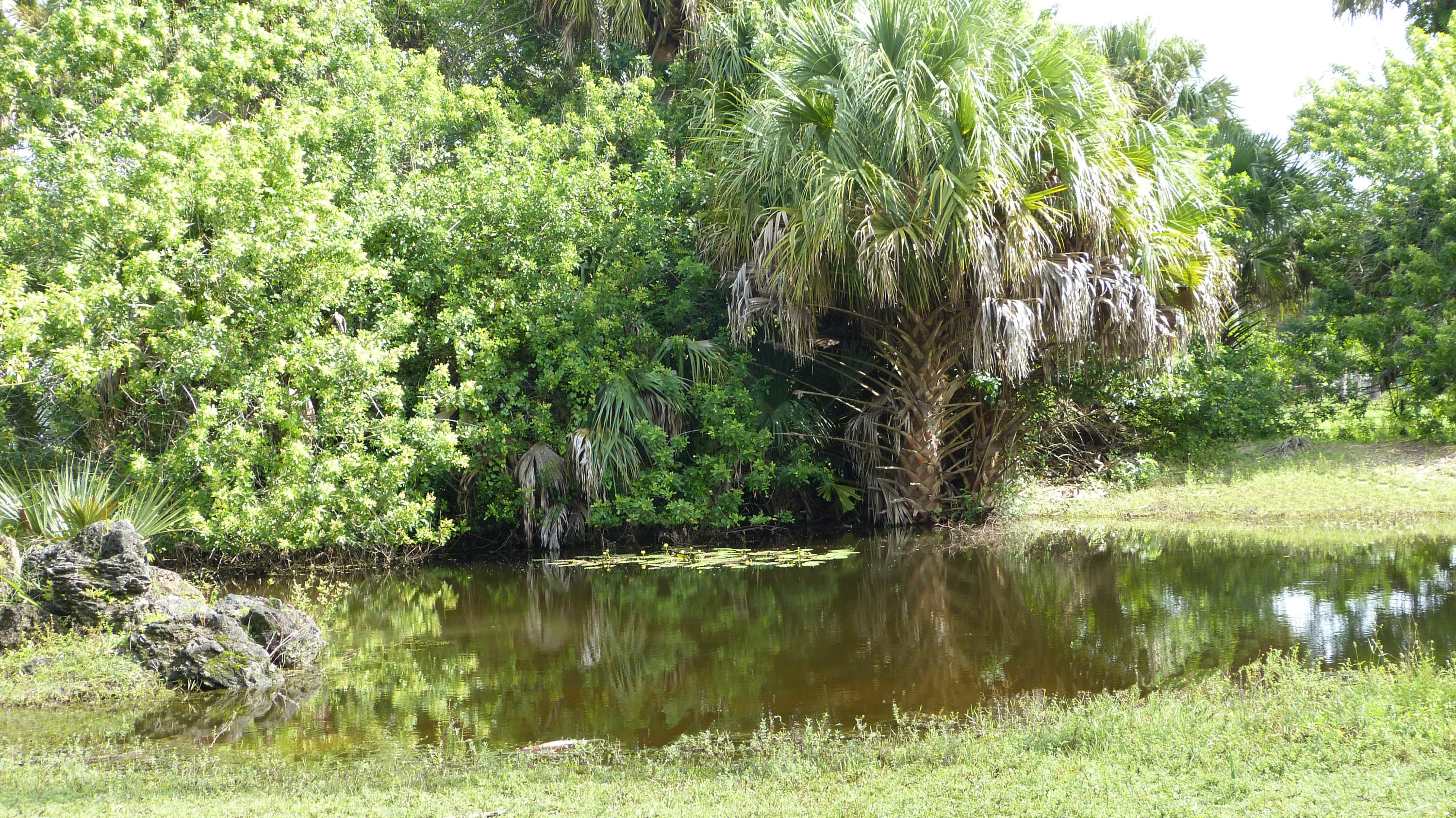 500 Coker Road Fort Pierce, FL 34945 - Photo 31 of 35 P1020355