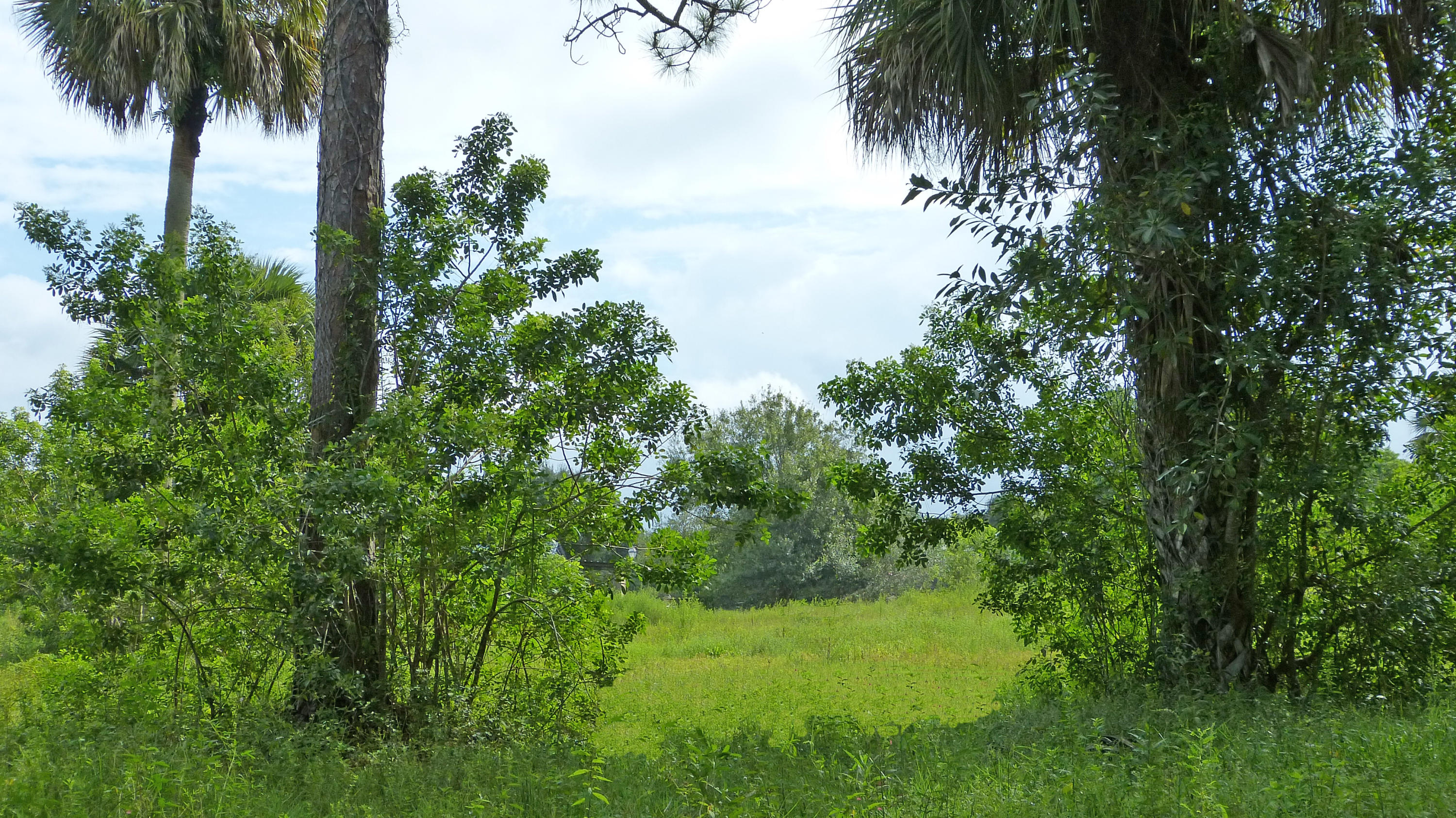 500 Coker Road Fort Pierce, FL 34945 - Photo 32 of 35 P1020356