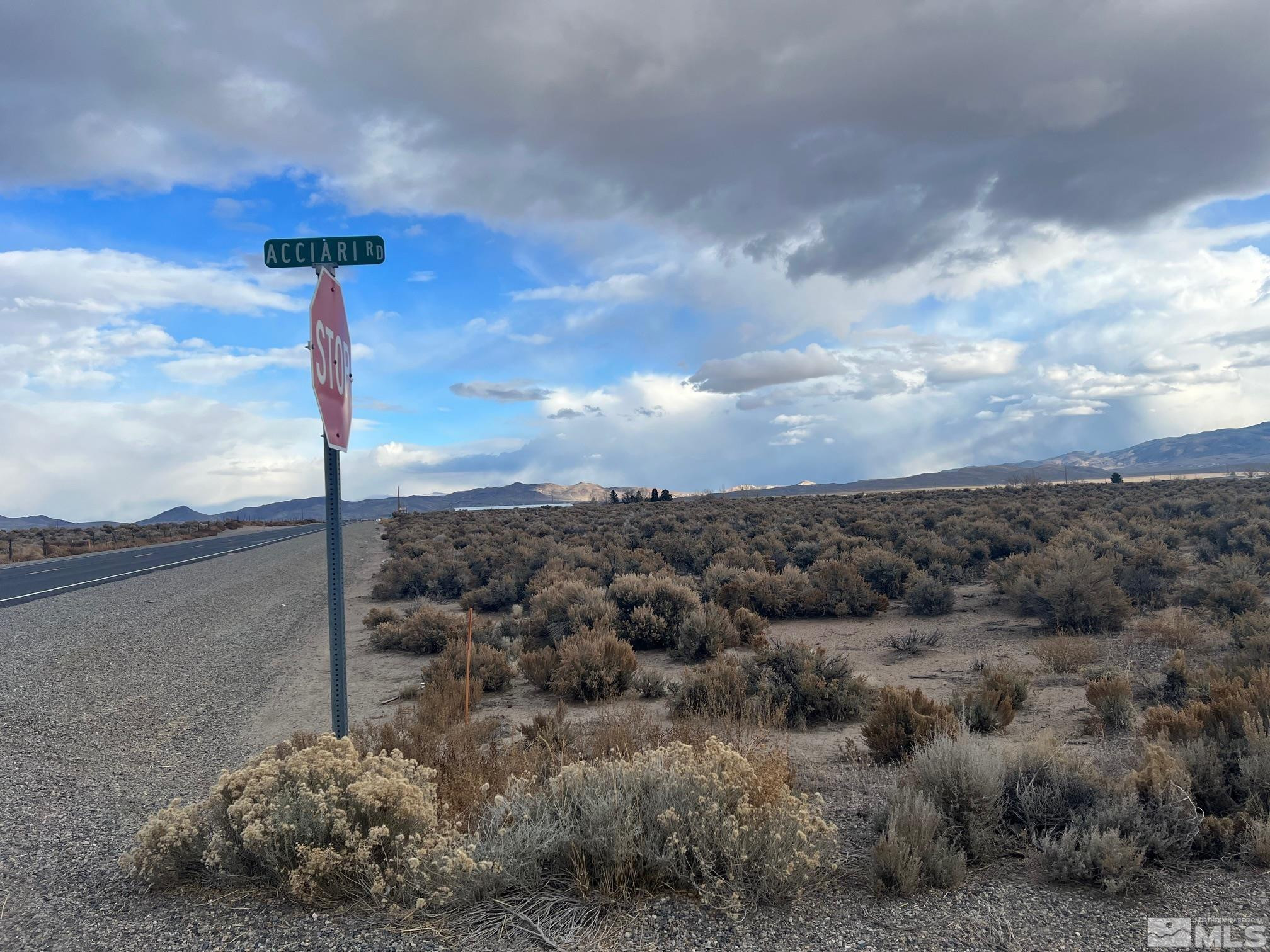 6 Acciari Road Smith, NV 89430 - Photo 4 of 11 a view of a road with a building in the background