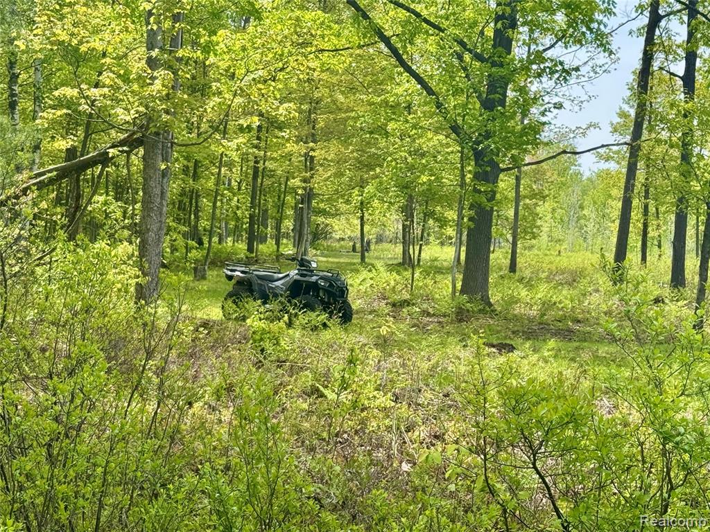499 East Winegars Road Gladwin, MI 48624 - Photo 14 of 33 Gallery Image 14