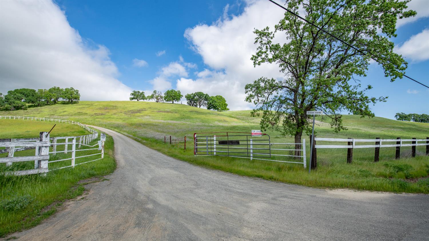 30247 Pleasant View Road Winters, CA 95694 - Photo 1 of 32 Gallery Image 1