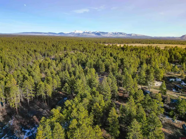 $1,250,000 | 14071 Road 37, Mancos, CO 81328