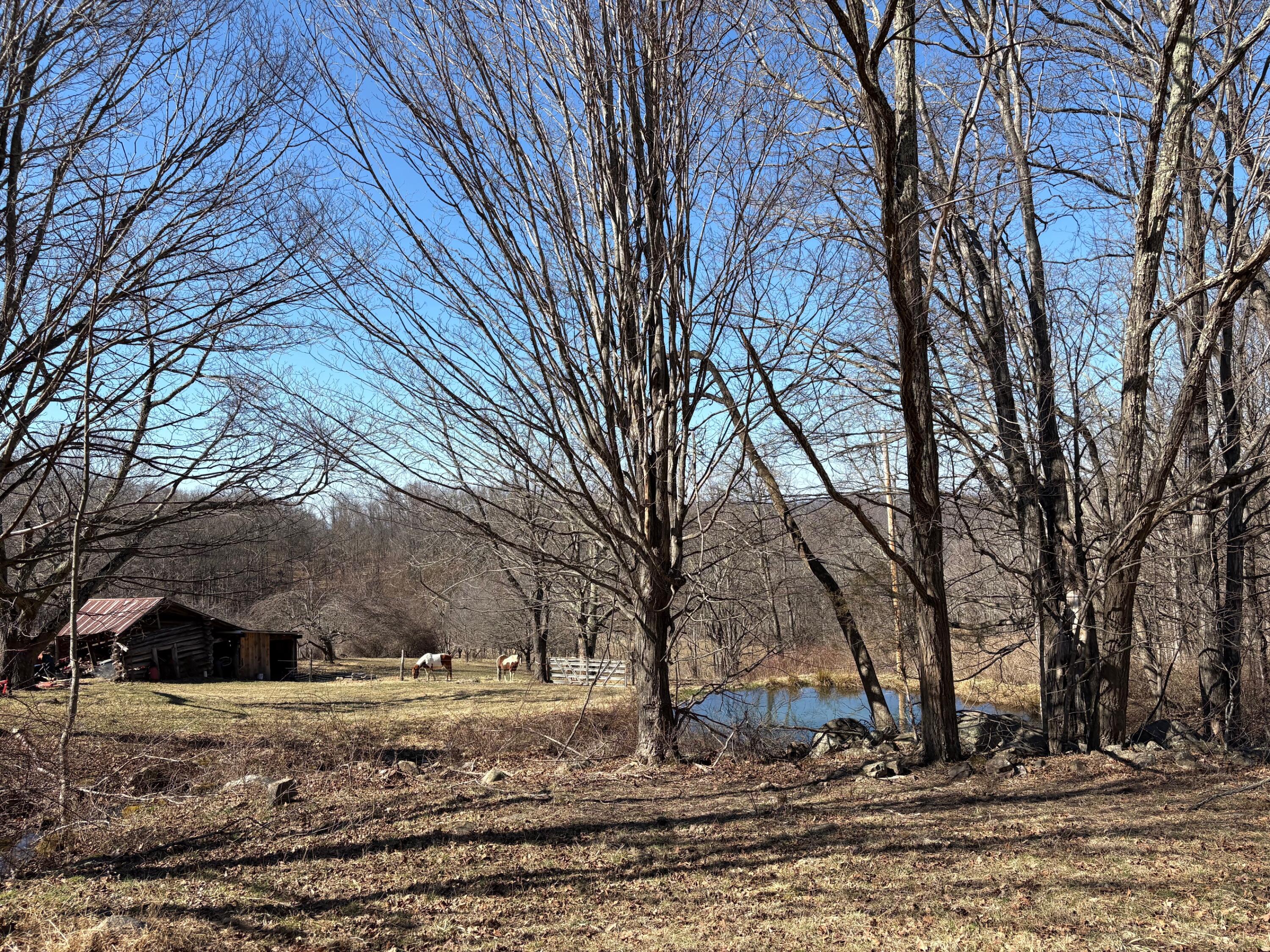 7341 Back Valley Road Lindside, WV 24951 - Photo 34 of 71 IMG_5132