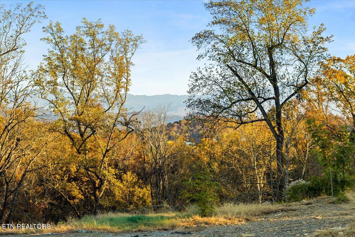 1353 Reedmont Way Sevierville, TN 37876 - Photo 31 of 39 002-128A8440