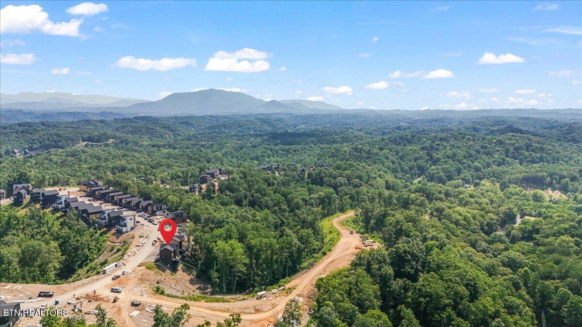 1353 Reedmont Way Sevierville, TN 37876 - Photo 33 of 39 049-DJI_20250623154647_0163_D2