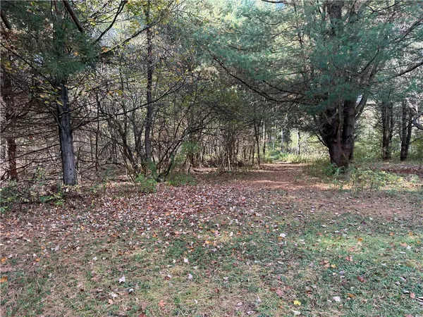 $145,000 | 0 Gile Hollow Road, Ischua, NY 14743