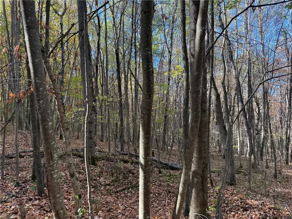 $145,000 | 0 Gile Hollow Road, Ischua, NY 14743