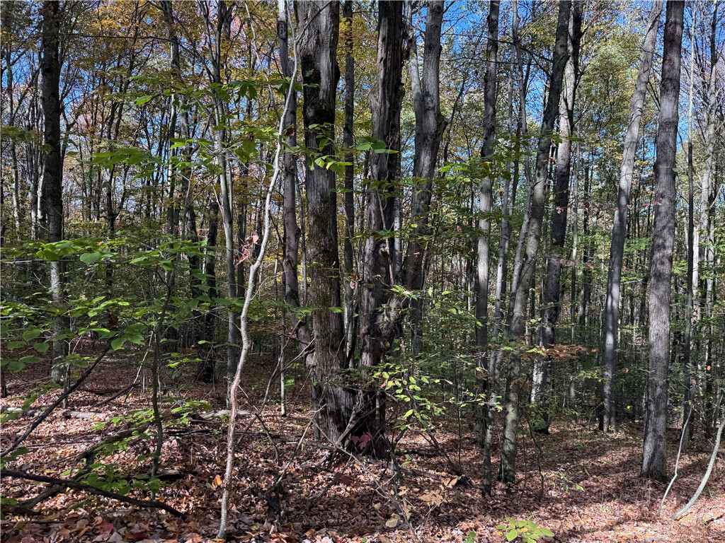 0 Gile Hollow Road Ischua, NY 14743 - Photo 19 of 34