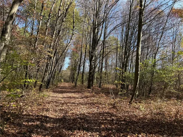 $145,000 | 0 Gile Hollow Road, Ischua, NY 14743