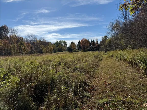 $145,000 | 0 Gile Hollow Road, Ischua, NY 14743