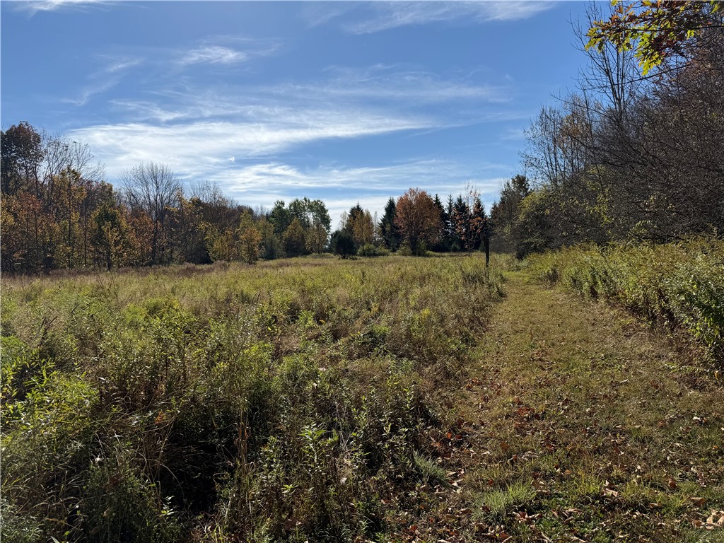 0 Gile Hollow Road Ischua, NY 14743 - Photo 21 of 34