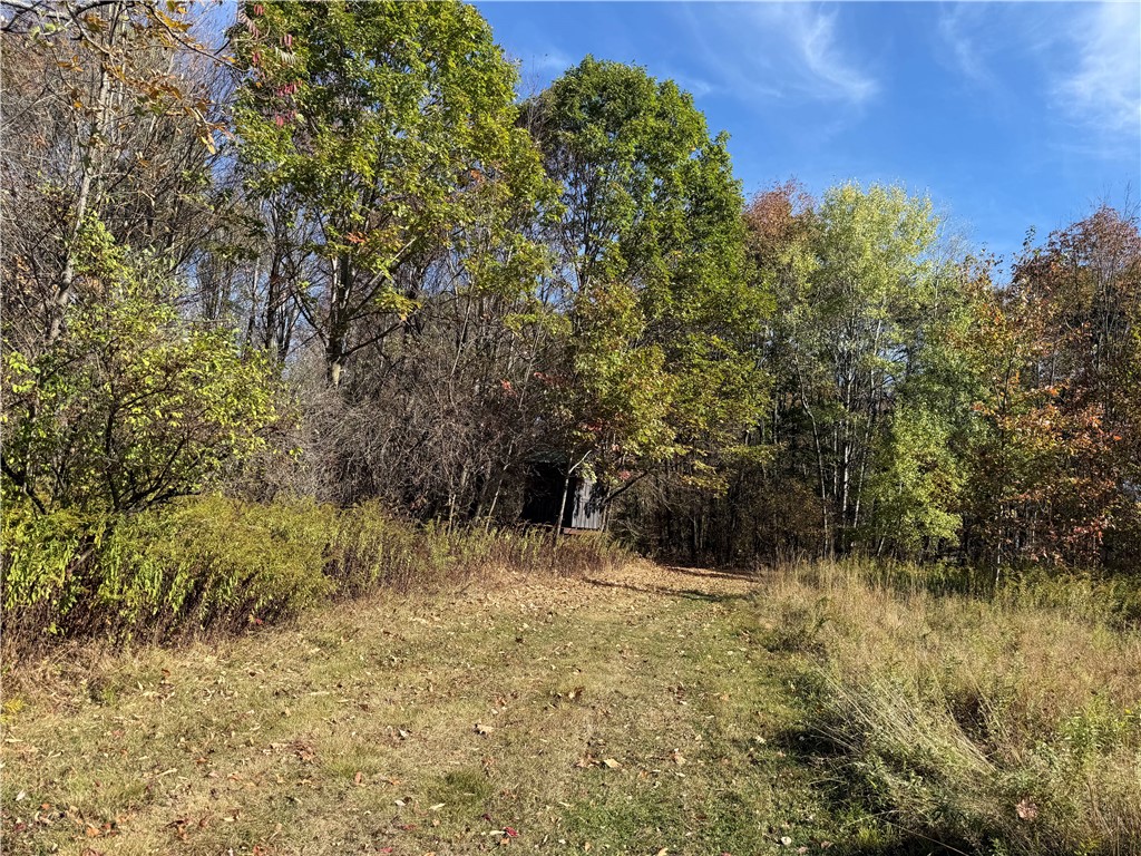 0 Gile Hollow Road Ischua, NY 14743 - Photo 22 of 34