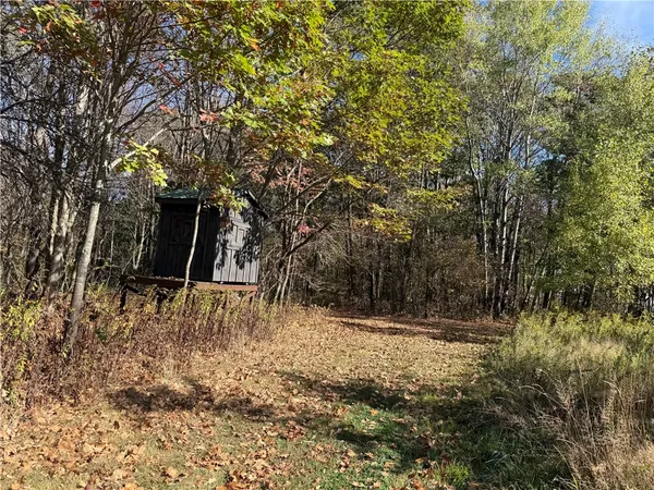 $145,000 | 0 Gile Hollow Road, Ischua, NY 14743