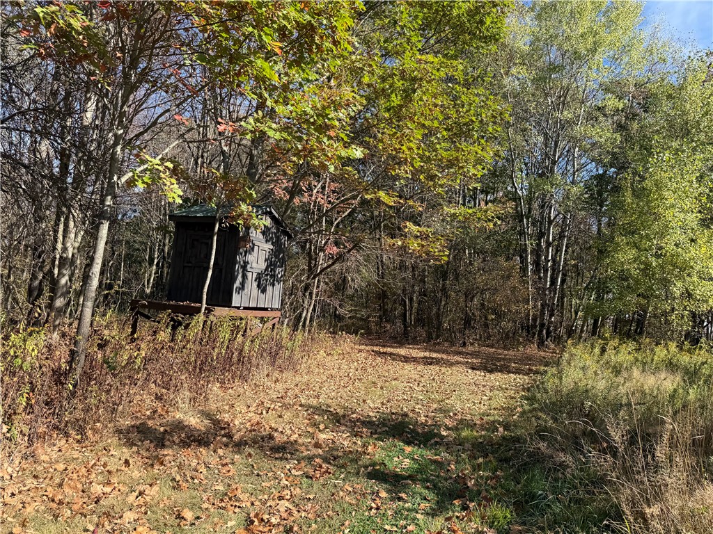 0 Gile Hollow Road Ischua, NY 14743 - Photo 23 of 34