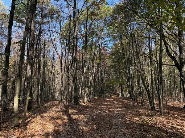 $145,000 | 0 Gile Hollow Road, Ischua, NY 14743
