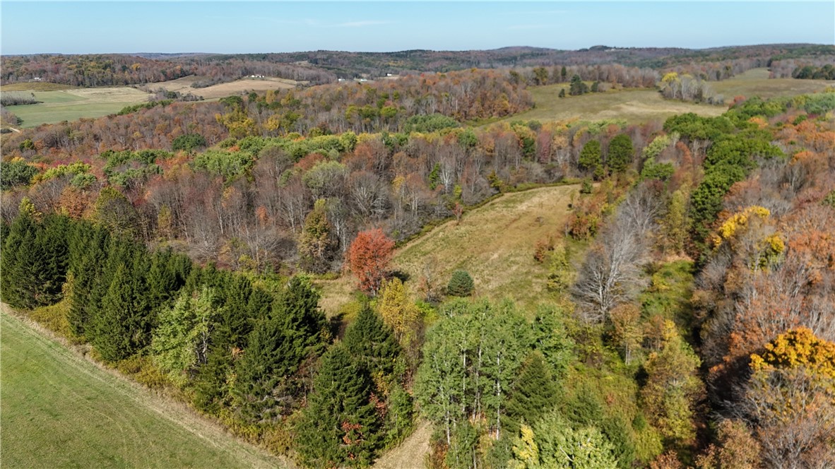 0 Gile Hollow Road Ischua, NY 14743 - Photo 25 of 34