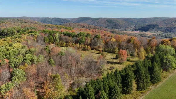 $145,000 | 0 Gile Hollow Road, Ischua, NY 14743