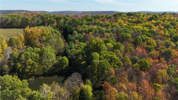 $145,000 | 0 Gile Hollow Road, Ischua, NY 14743