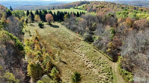 $145,000 | 0 Gile Hollow Road, Ischua, NY 14743