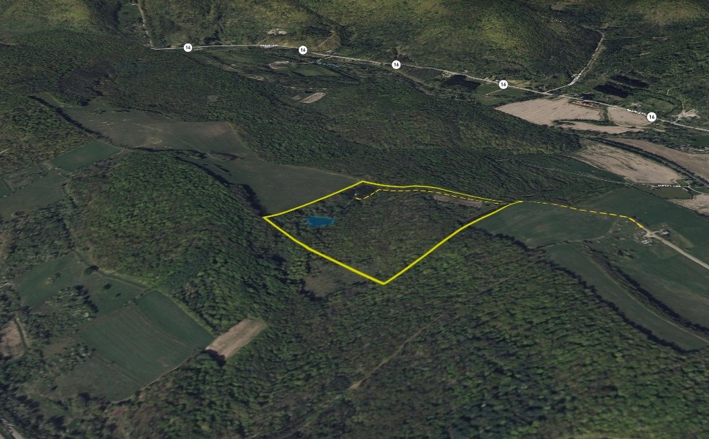 0 Gile Hollow Road Ischua, NY 14743 - Photo 34 of 34