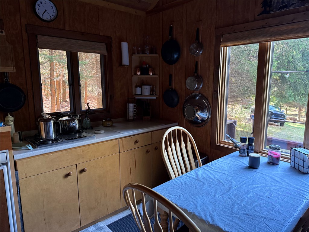 0 Gile Hollow Road Ischua, NY 14743 - Photo 7 of 34