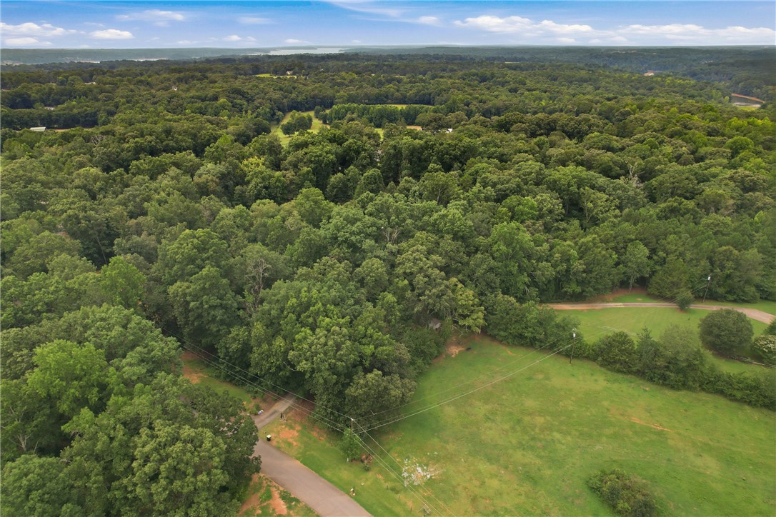 0 Southern Acres Road Anderson, SC 29625 - Photo 16 of 27 Vast, verdant woodlands define this secluded lot, offering ultimate privacy and natural beauty.