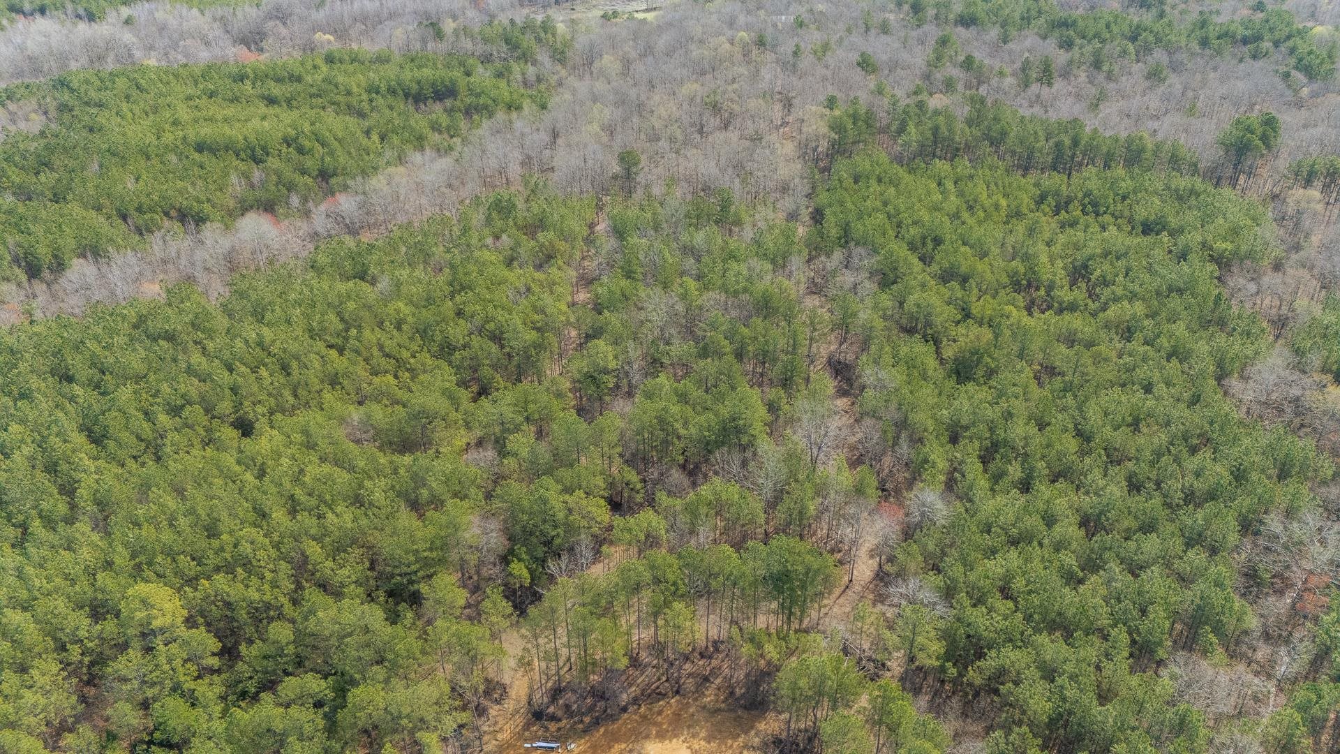 1471 Chambers Store Road Michie, TN 38357 - Photo 36 of 38 Bird's eye view featuring a wooded view