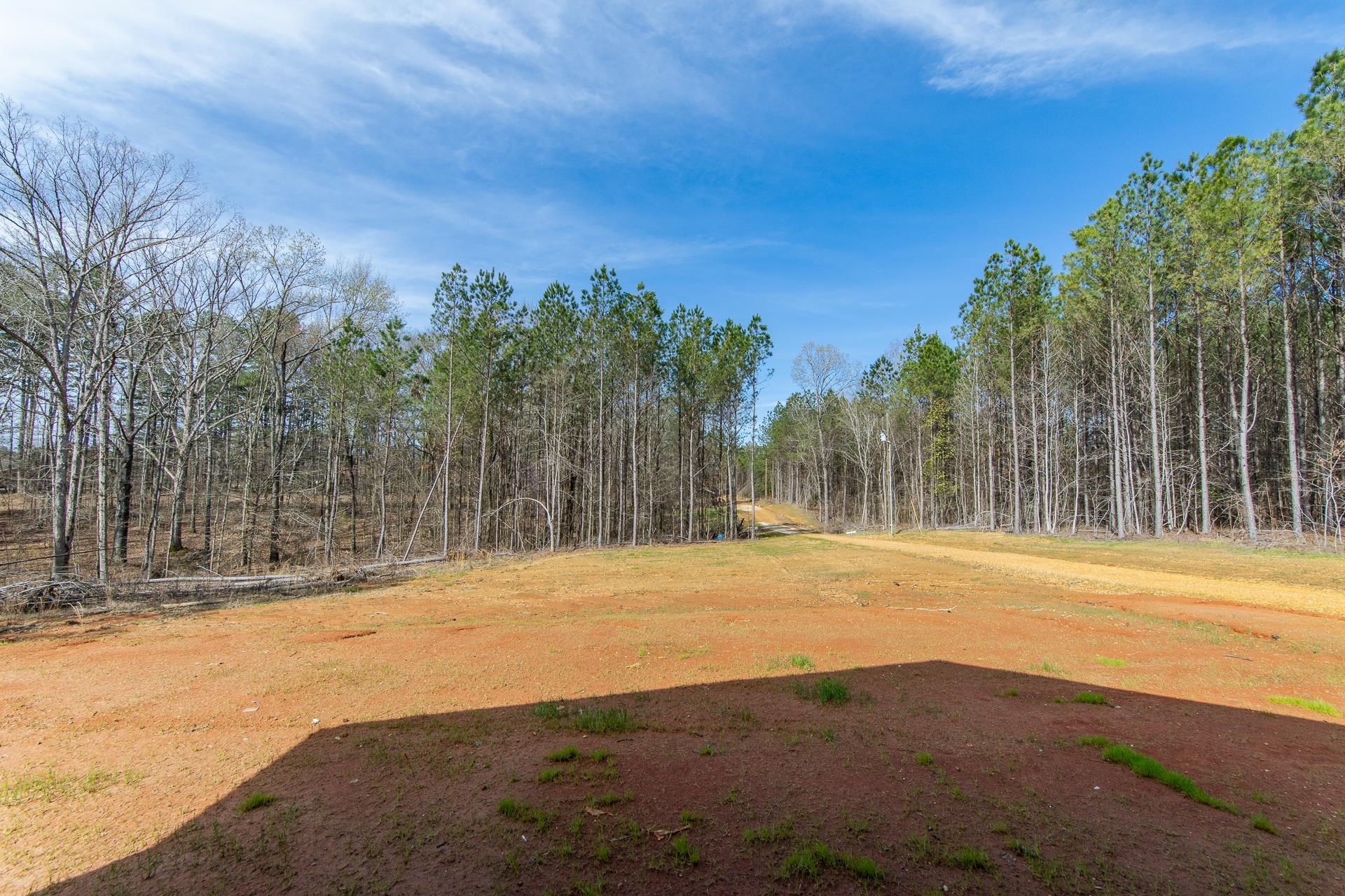 1471 Chambers Store Road Michie, TN 38357 - Photo 37 of 38 View of yard