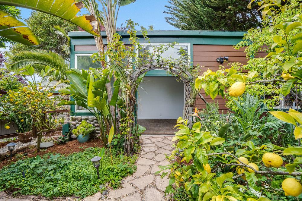 1067 Rio Vista Drive Pacifica, CA 94044 - Photo 28 of 43 a view of a garden with plants