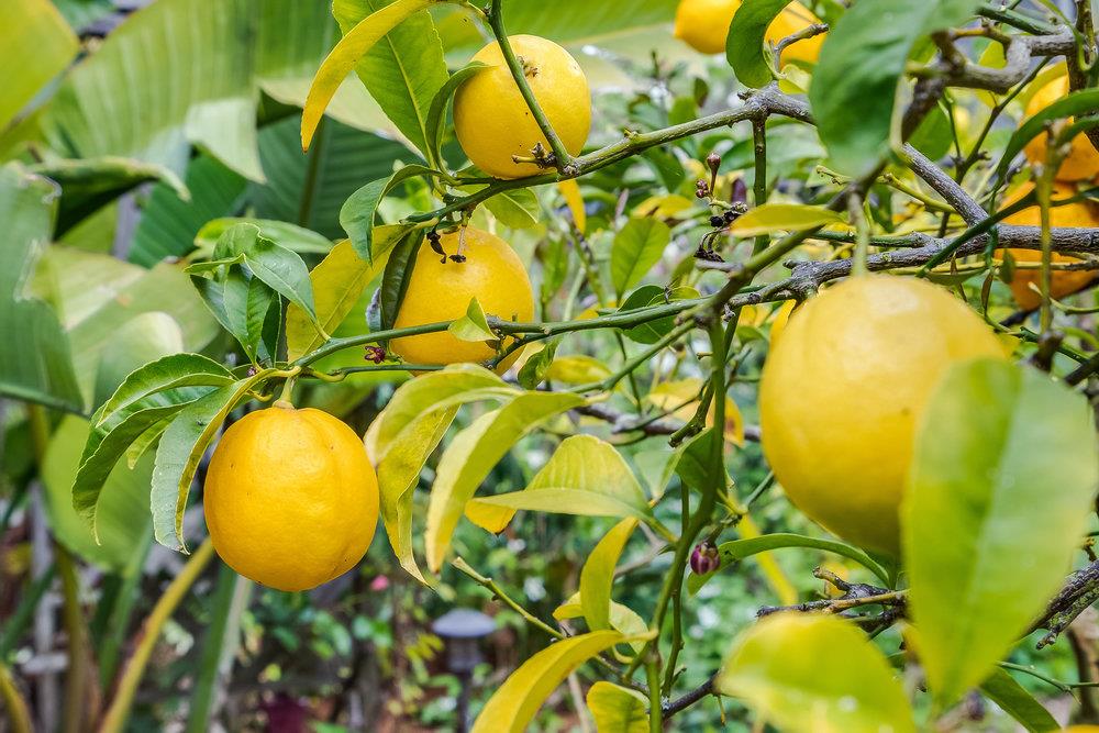 1067 Rio Vista Drive Pacifica, CA 94044 - Photo 41 of 43 a view of a swimming pool