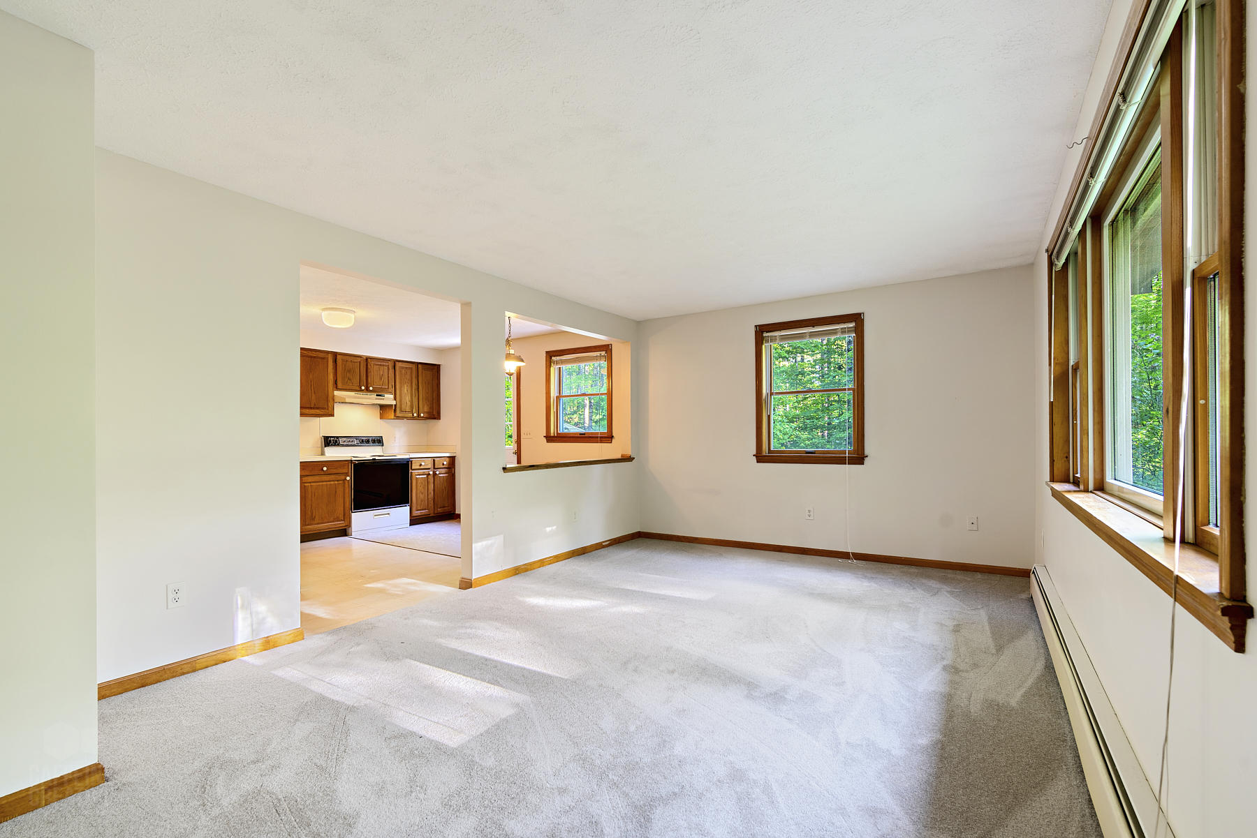 16 Swamp Road New Gloucester, ME 04260 - Photo 6 of 21 tarbox-swamp-caffeine-creative-06