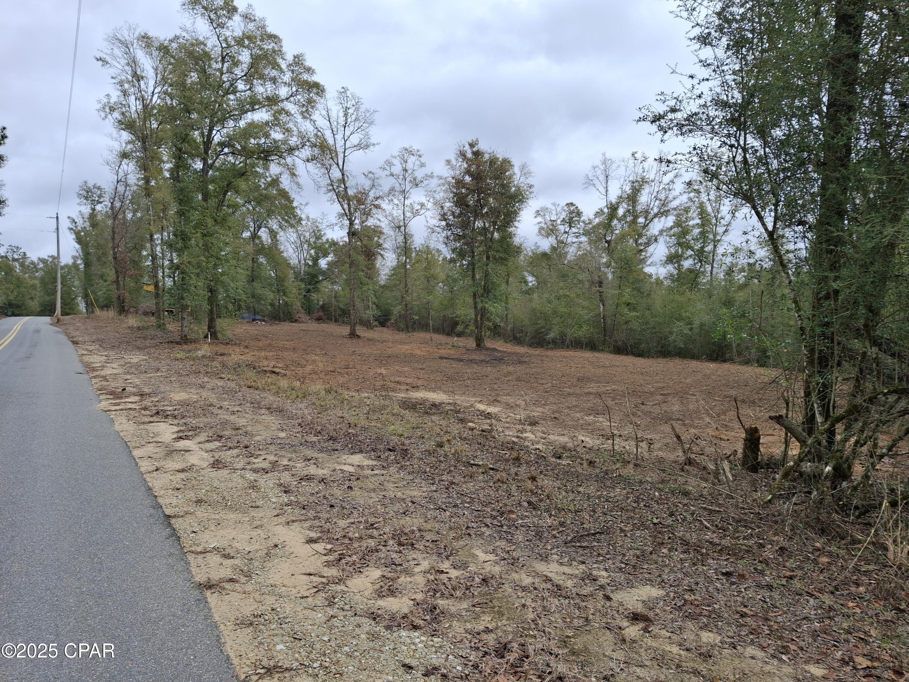 0 Tommy Tucker Road, Unit LOT 4 Altha, FL 32421 - Photo 3 of 22