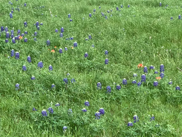 $850,000 | 16611 Fm 1155 Street East, Washington, TX 77880