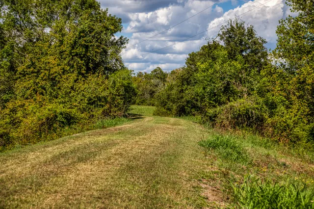 $850,000 | 16611 Fm 1155 Street East, Washington, TX 77880