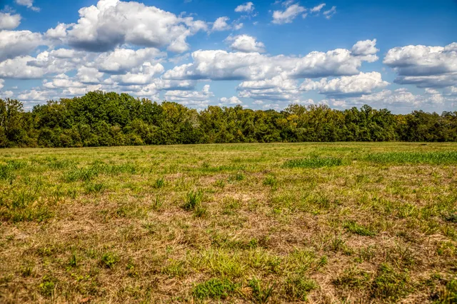 $850,000 | 16611 Fm 1155 Street East, Washington, TX 77880