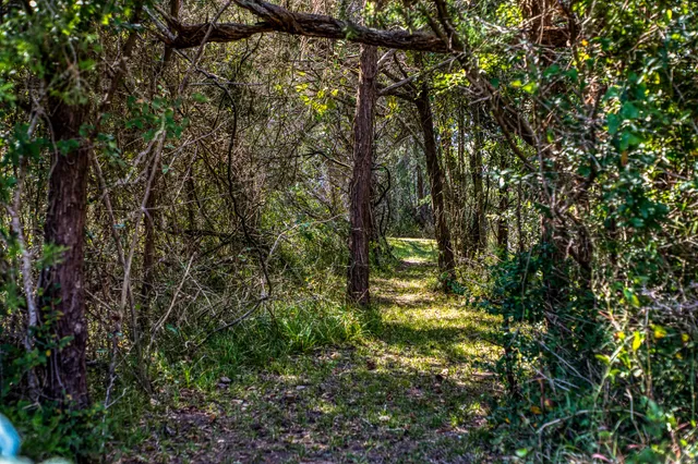 $850,000 | 16611 Fm 1155 Street East, Washington, TX 77880