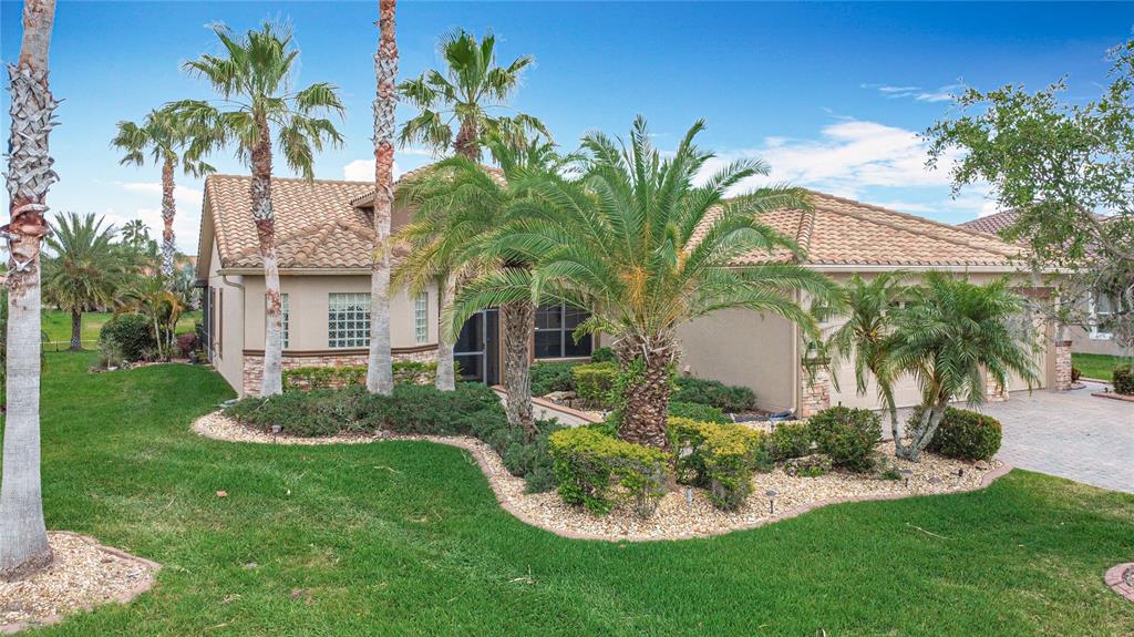 772 San Raphael Street Kissimmee, FL 34759 - Photo 5 of 94 a view of a backyard with potted plants and palm trees