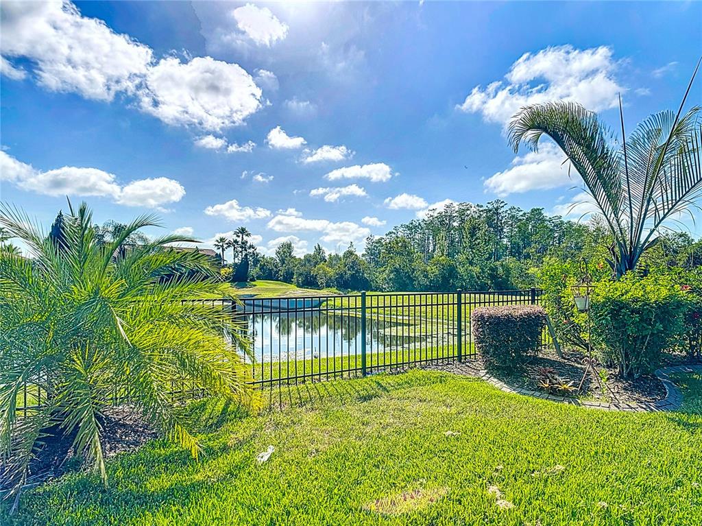 772 San Raphael Street Kissimmee, FL 34759 - Photo 81 of 94 a view of a swimming pool with a garden