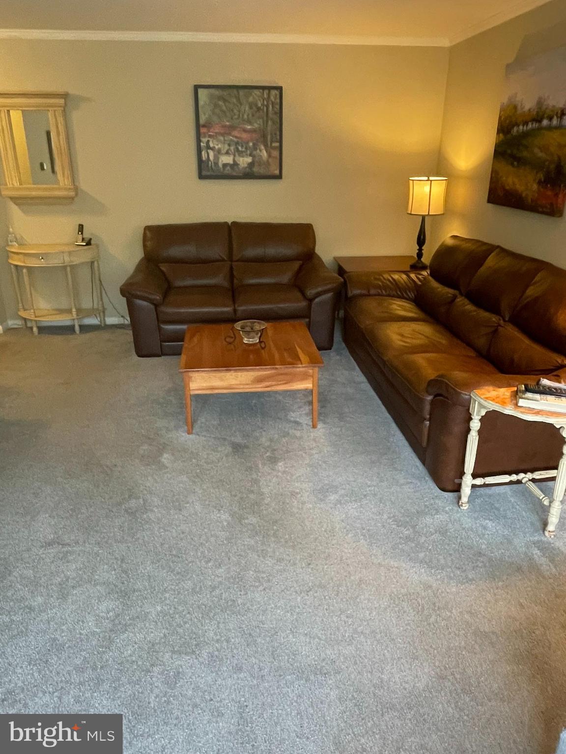 420 North Wayne Avenue, Unit 8 Wayne, PA 19087 - Photo 4 of 18 a living room with furniture and a couch