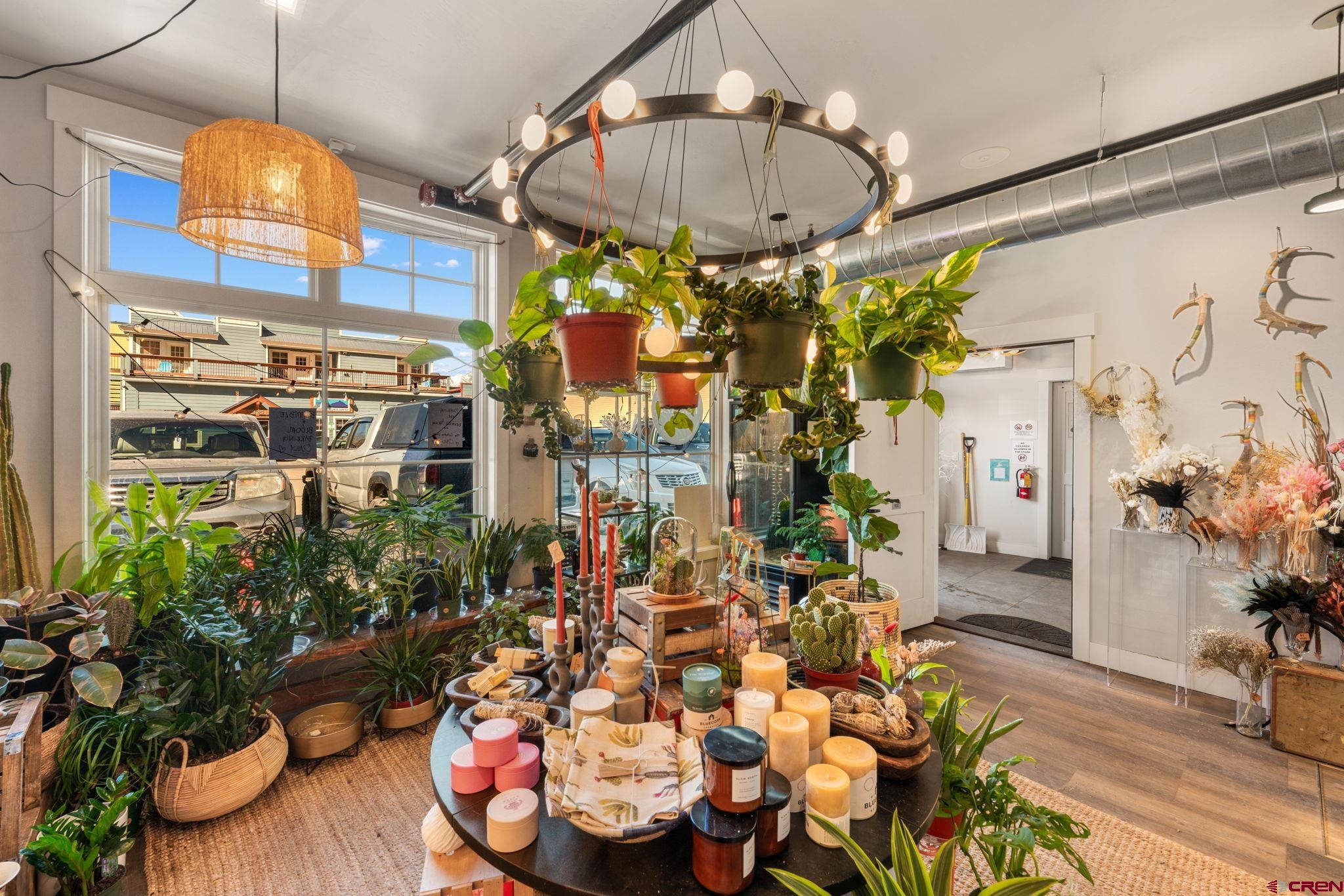 322 Belleview Avenue Crested Butte, CO 81224 - Photo 7 of 43 a room with lots of potted plants