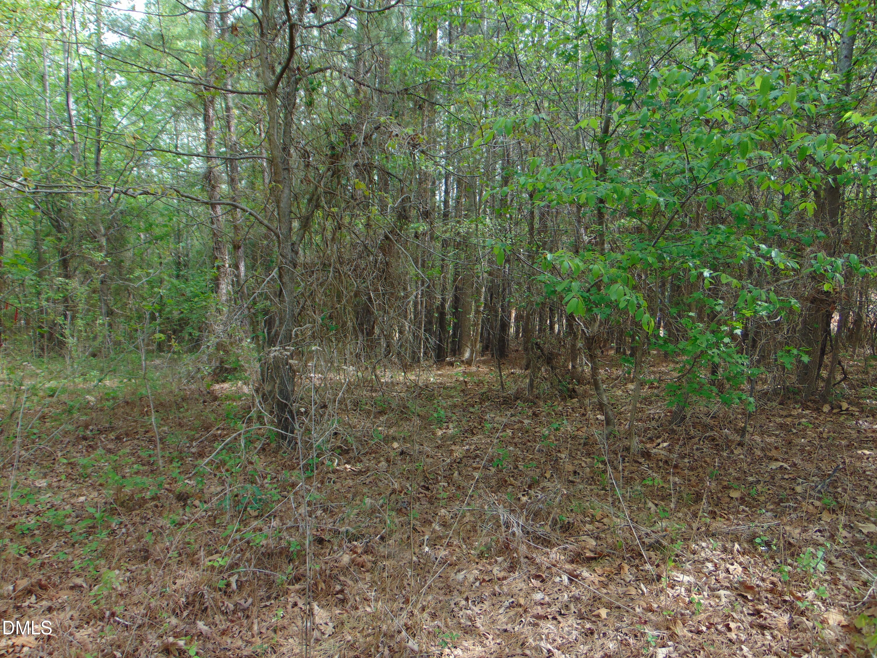 4 Park Springs Road Providence, NC 27315 - Photo 19 of 25 DSC01558