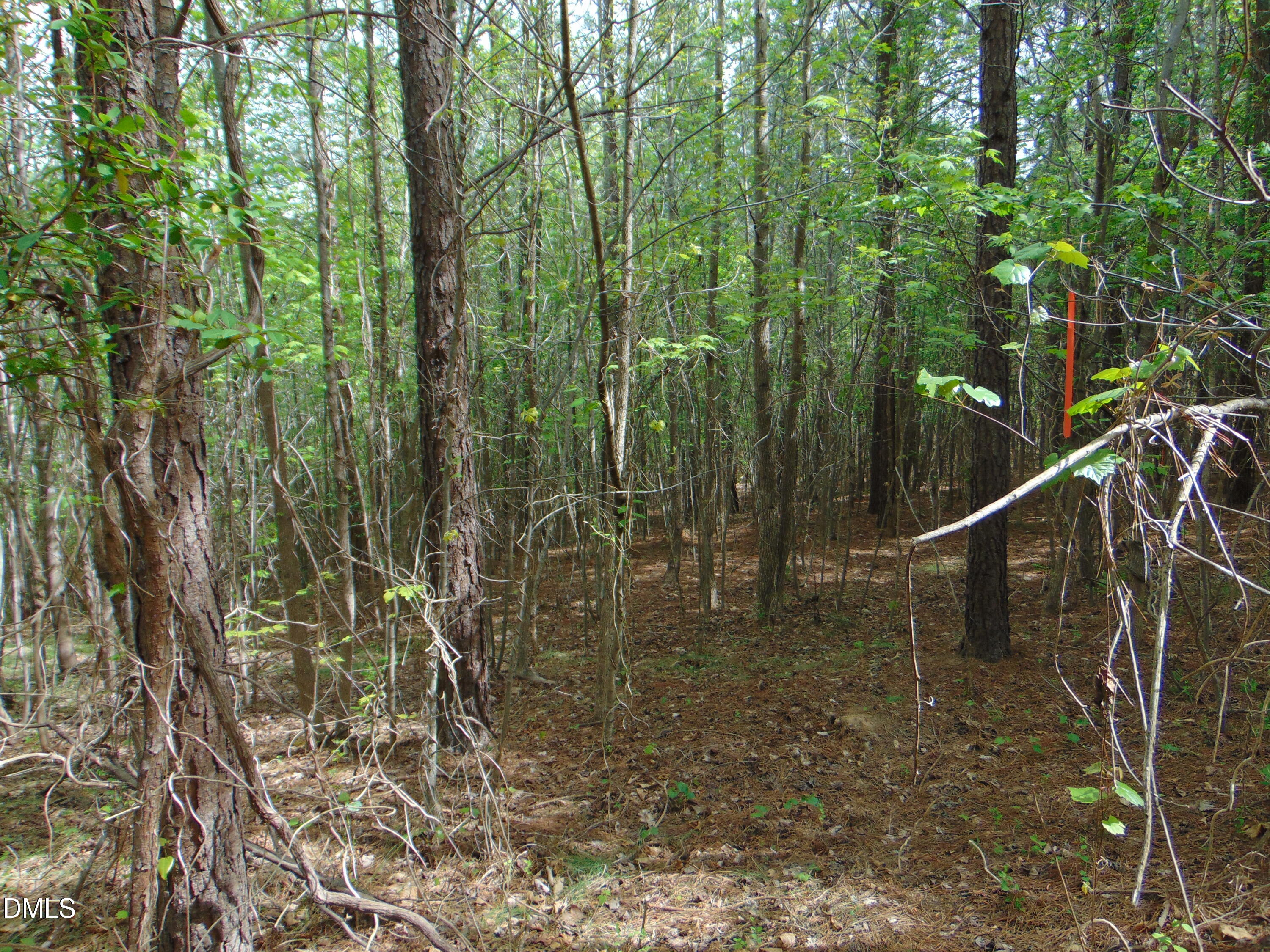 4 Park Springs Road Providence, NC 27315 - Photo 22 of 25 DSC01561