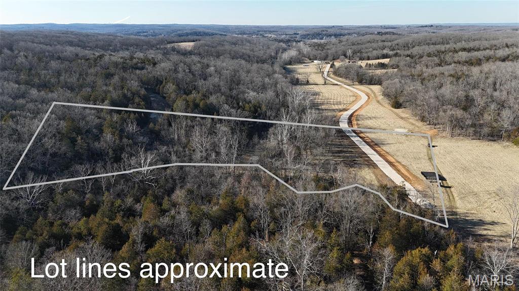 1 Lot Hematite Farms Road Festus, MO 63028 - Photo 1 of 3