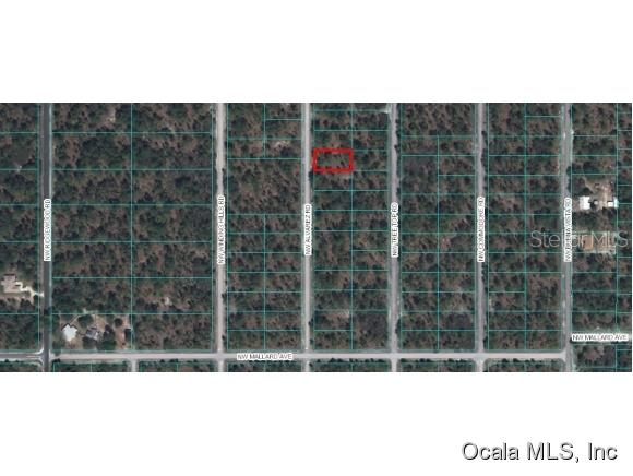 Lot 39 Northwest Lot Road Dunnellon, FL 34431 - Photo 1 of 1 Primary Photo