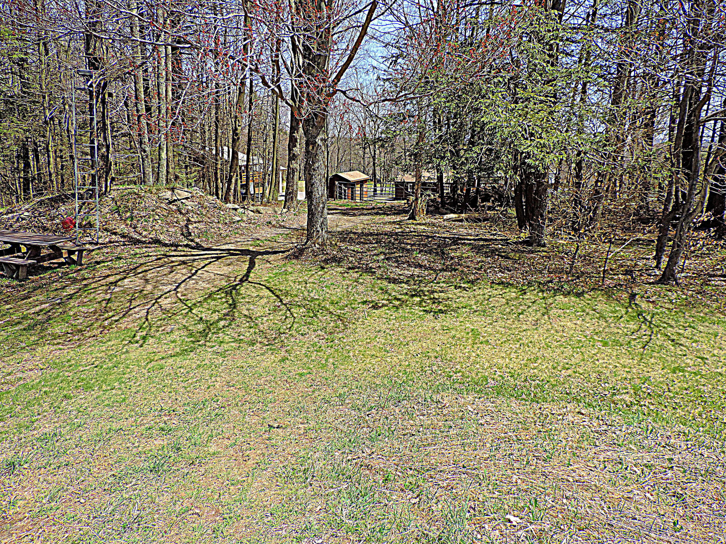 441 Huckleberry Road Newfoundland, PA 18445 - Photo 55 of 58