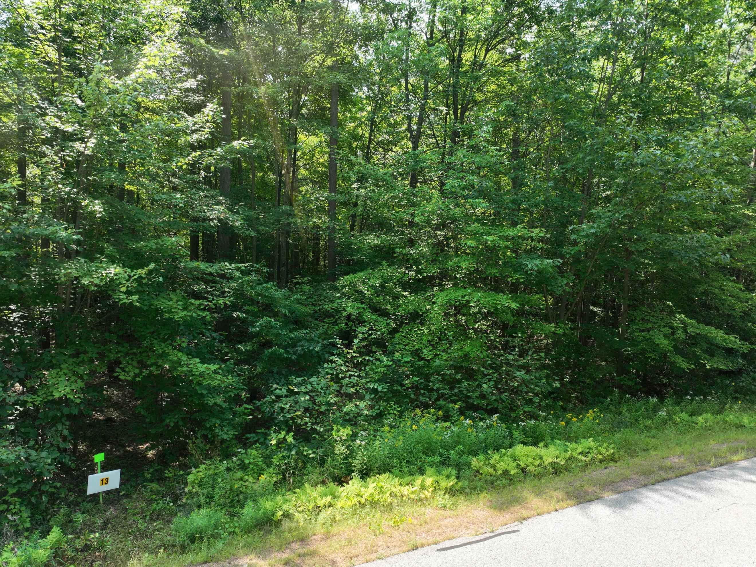 Lot 13 Burma Road Mosinee, WI 54455 - Photo 5 of 6 Gallery Image 5