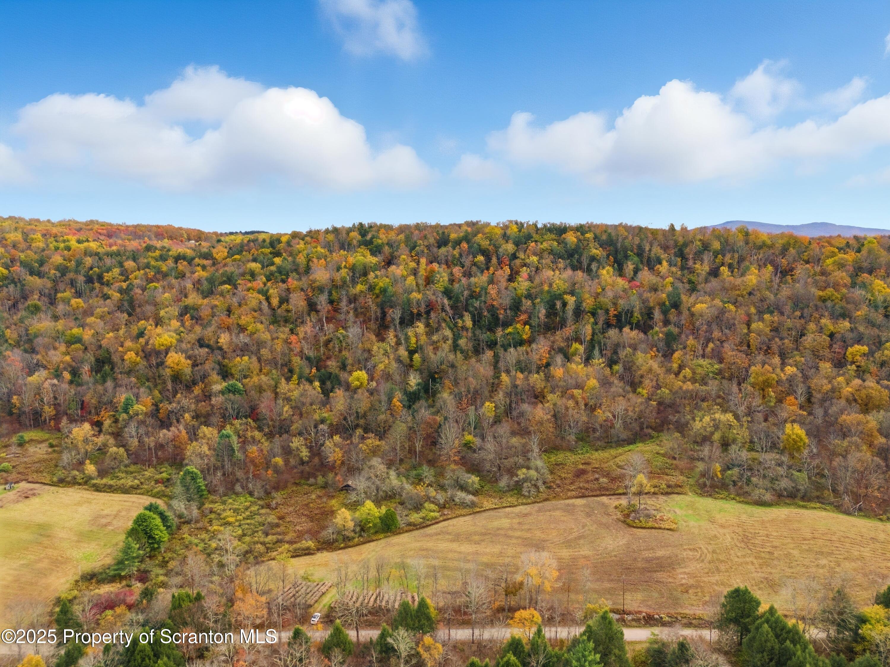 Podunk Road New Milford, PA 18834 - Photo 1 of 22 DJI_20251018121233_0397_D